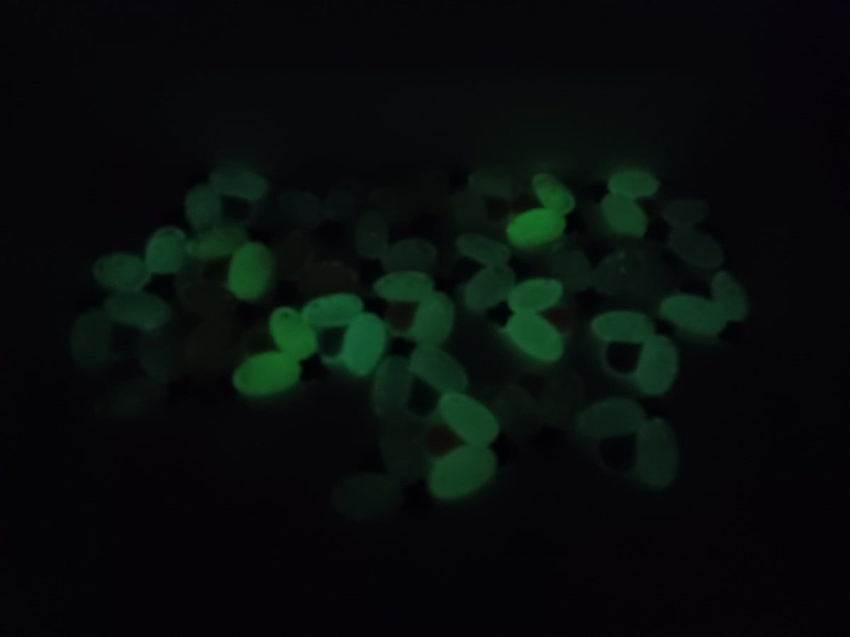 Lady Bug - Glow In The Dark