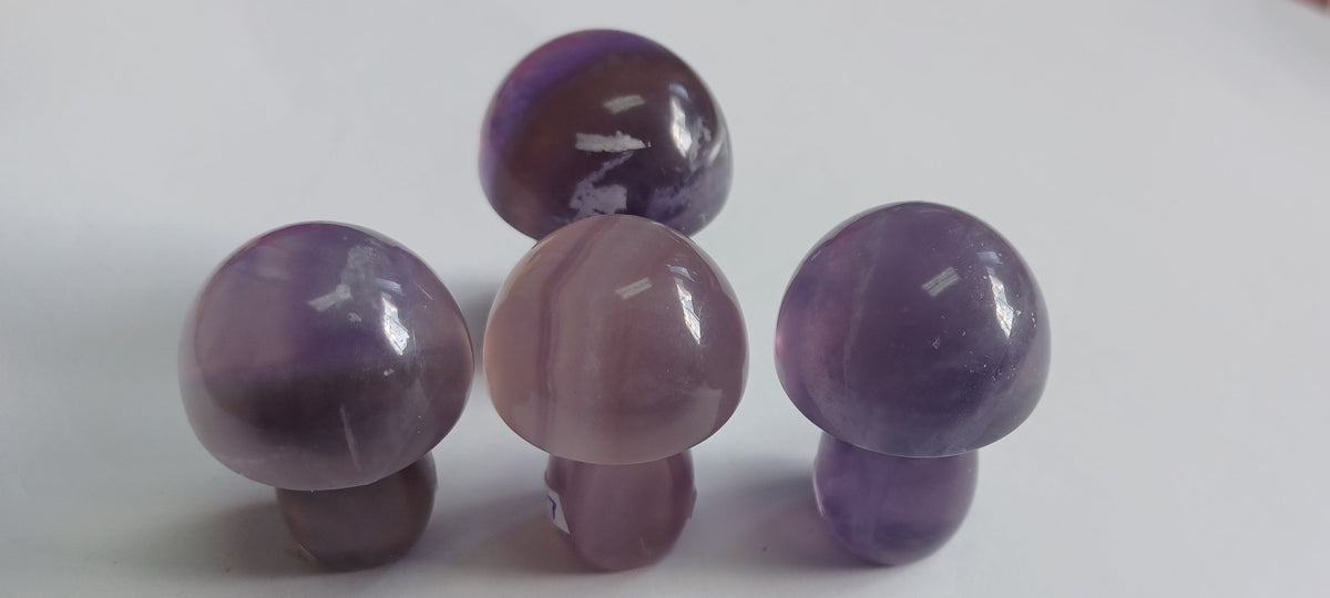 Amethyst Mushroom