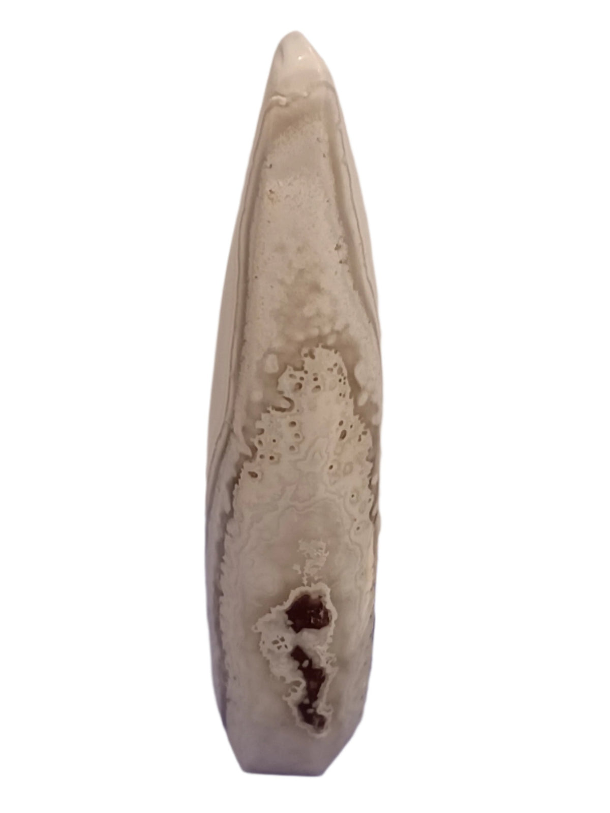 Crazy Lace Agate